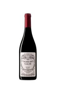 Pagos de Galir Mencia 2020, DO Valdeorras