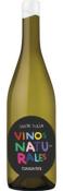 Torrontes 2024, Vinos Naturales Organicos, Santa Julia